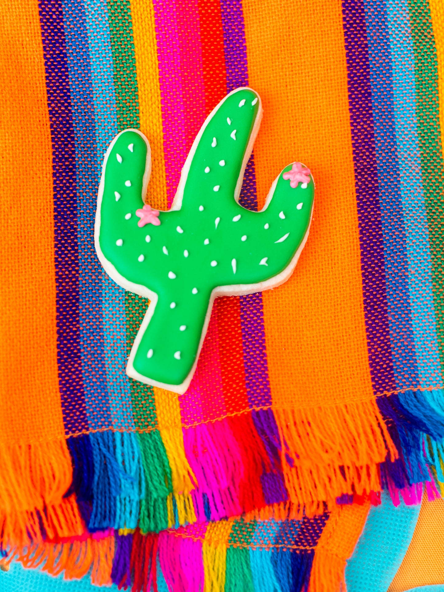 Mexican Fabric Napkins, Bulk Set of 6 Striped Assorted Colors