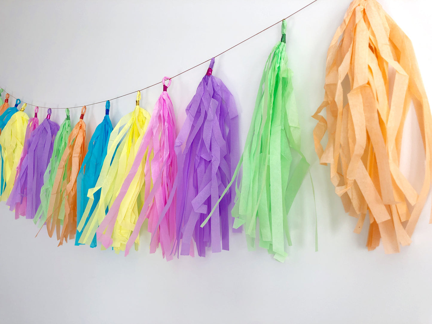 Pastel tassel garland